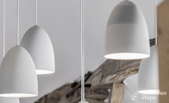 Luxury villa in Rochefort for 16 persons in the Ardennes