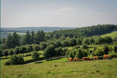 Cozy single-level holiday home for 2 people in Rochehaut with view