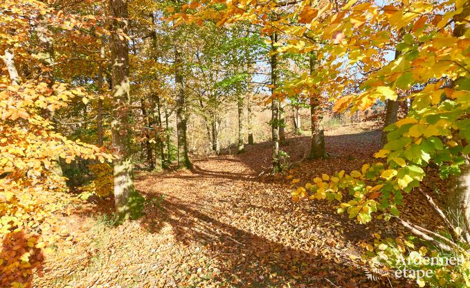 Modern holiday home in Rochehaut in the Ardennes