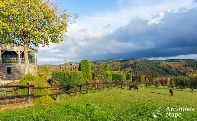 Spacious and comfortable holiday home for 16 people in Rochehaut, Ardennes.