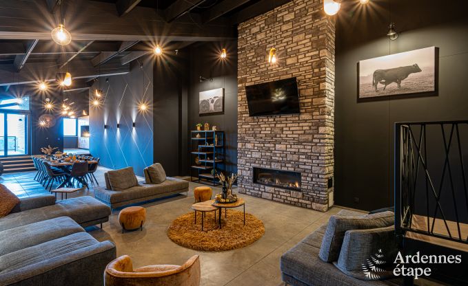 Modern villa in Rochehaut: spacious accommodation for 12 people with private garden and hot tub