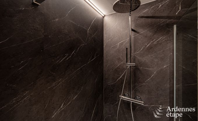 Modern villa in Rochehaut: spacious accommodation for 12 people with private garden and hot tub