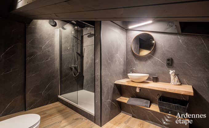 Modern villa in Rochehaut: spacious accommodation for 12 people with private garden and hot tub