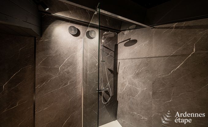 Modern villa in Rochehaut: spacious accommodation for 12 people with private garden and hot tub