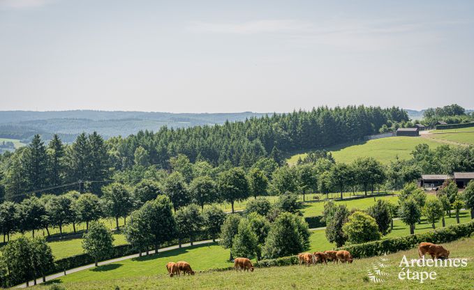 Modern villa in Rochehaut: spacious accommodation for 12 people with private garden and hot tub