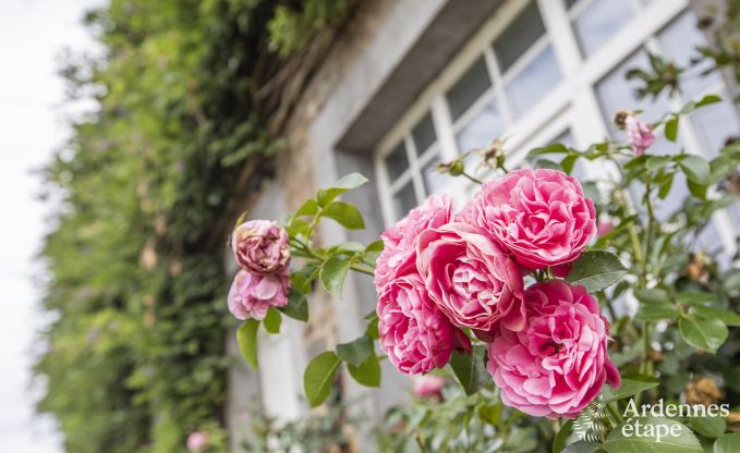 Holiday cottage in Saint-Hubert for 18 persons in the Ardennes