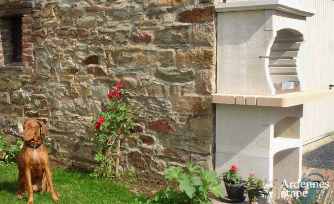 Holiday cottage in Saint-Hubert for 8 persons in the Ardennes