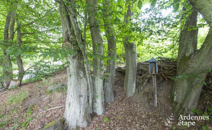 Luxury villa in Saint- Hubert for 18/20 persons in the Ardennes