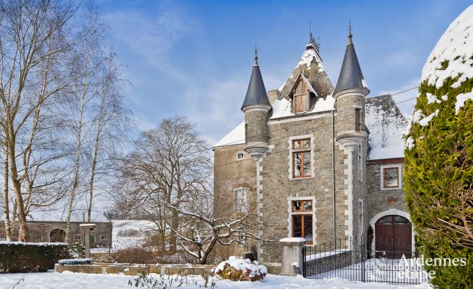 Historic castle in Sainte-Ode for 46 people, with swimming pool