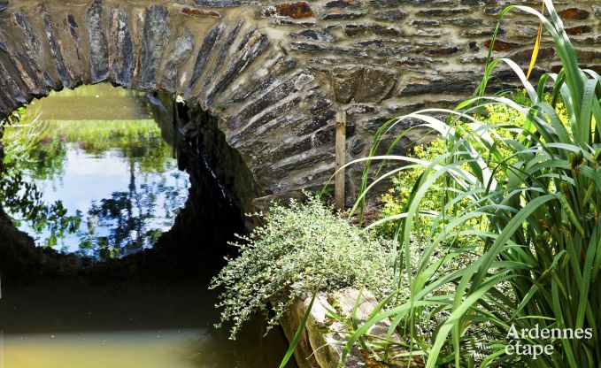 Historic castle in Sainte-Ode for 46 people, with swimming pool