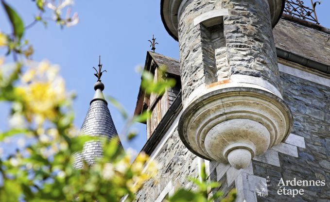 Historic castle in Sainte-Ode for 46 people, with swimming pool