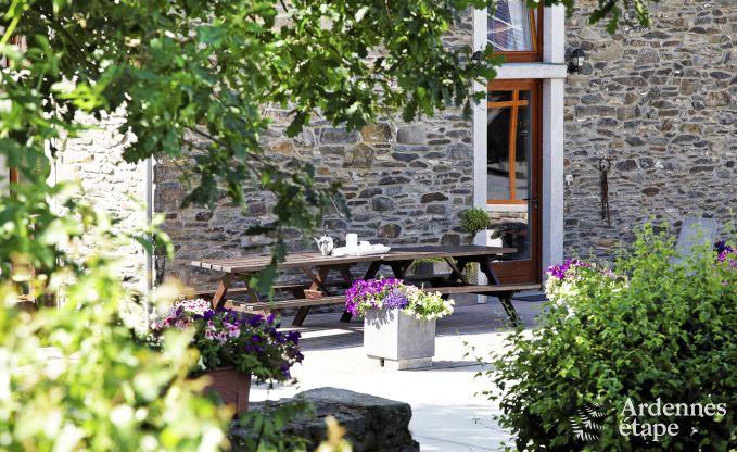 Historic castle in Sainte-Ode for 46 people, with swimming pool