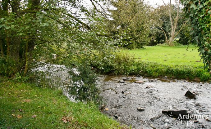 Holiday home in Sainte-Ode: haven of peace in the Ardennes for 6 people with modern amenities