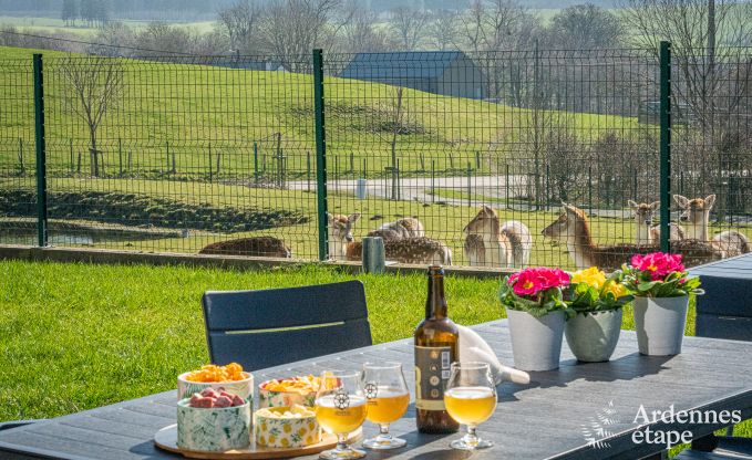 Luxurious and dog-friendly holiday home with swimming pool in Sainte-Ode, Ardennes