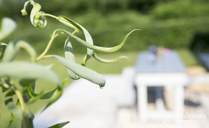 Holiday cottage in Sivry-Rance for 4 persons in the Ardennes