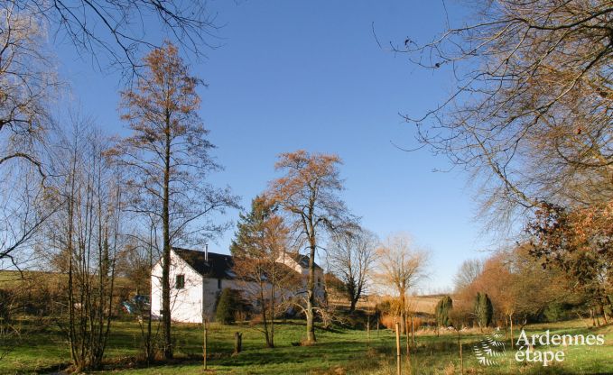 Holiday cottage in Sivry for 6 persons in the Ardennes
