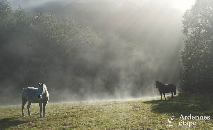 Holiday cottage in Sivry for 6 persons in the Ardennes