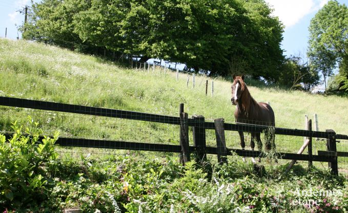 Holiday cottage in Soiron for 2/4 persons in the Ardennes