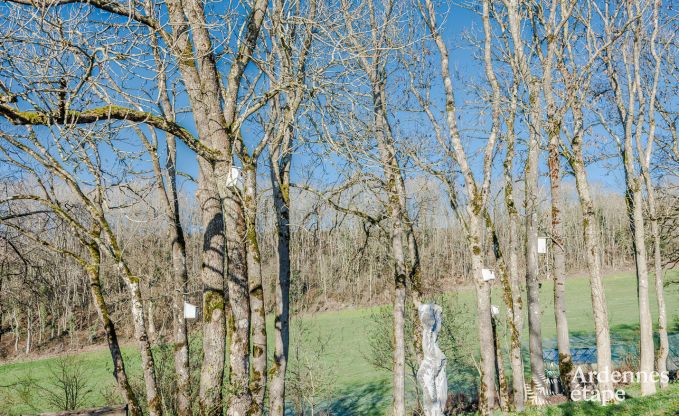 Contemporary villa in Somme - Leuze for 8 persons in the Ardennes