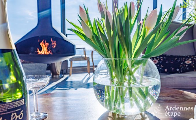 Contemporary villa in Somme - Leuze for 8 persons in the Ardennes