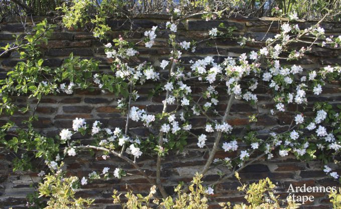 Contemporary villa in Somme - Leuze for 8 persons in the Ardennes