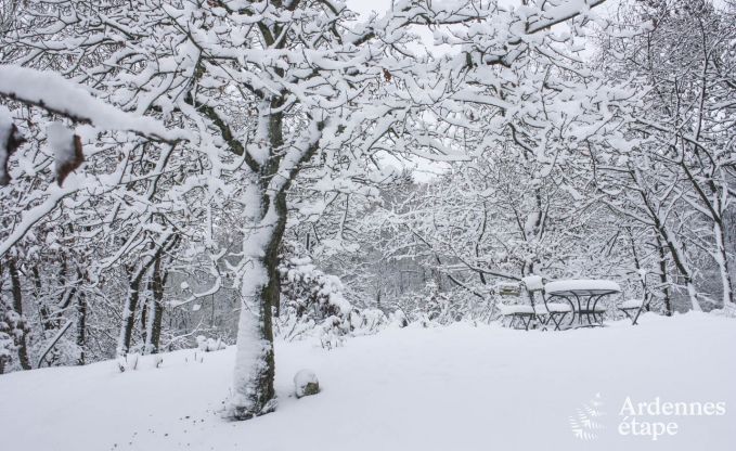 Contemporary villa in Somme - Leuze for 8 persons in the Ardennes