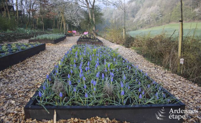 Contemporary villa in Somme - Leuze for 8 persons in the Ardennes