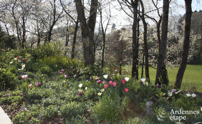 Contemporary villa in Somme - Leuze for 8 persons in the Ardennes