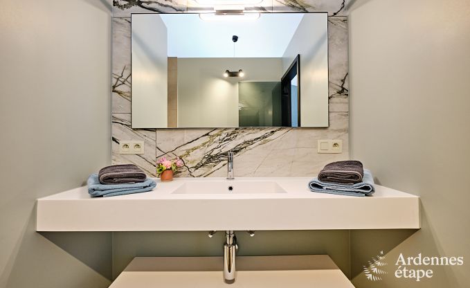 Ultramodern villa in Somme-Leuze for 12 persons with indoor swimming pool, sauna and private garden