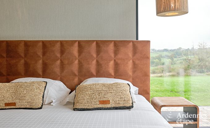 Ultramodern villa in Somme-Leuze for 12 persons with indoor swimming pool, sauna and private garden