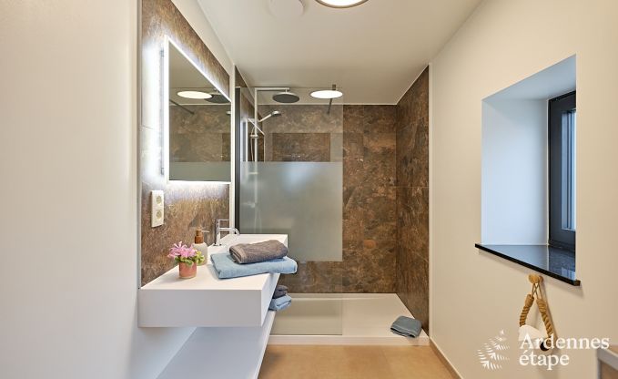 Ultramodern villa in Somme-Leuze for 12 persons with indoor swimming pool, sauna and private garden