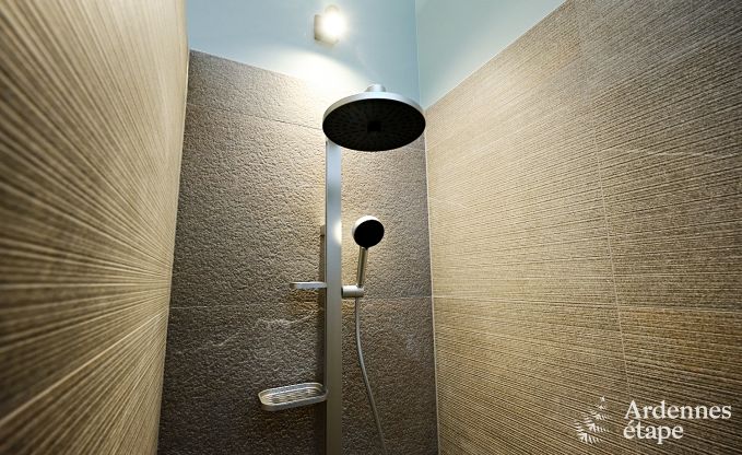 Ultramodern villa in Somme-Leuze for 12 persons with indoor swimming pool, sauna and private garden