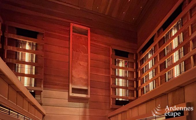 Ultramodern villa in Somme-Leuze for 12 persons with indoor swimming pool, sauna and private garden