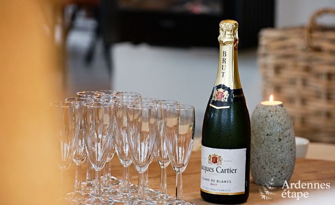 Ultramodern villa in Somme-Leuze for 12 persons with indoor swimming pool, sauna and private garden