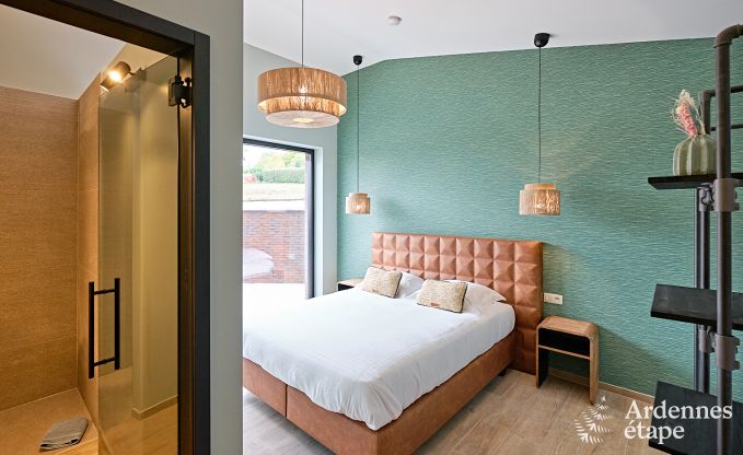 Ultramodern villa in Somme-Leuze for 12 persons with indoor swimming pool, sauna and private garden