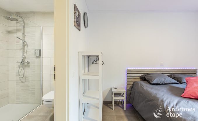 Holiday cottage in Somme-Leuze for 20 persons in the Ardennes