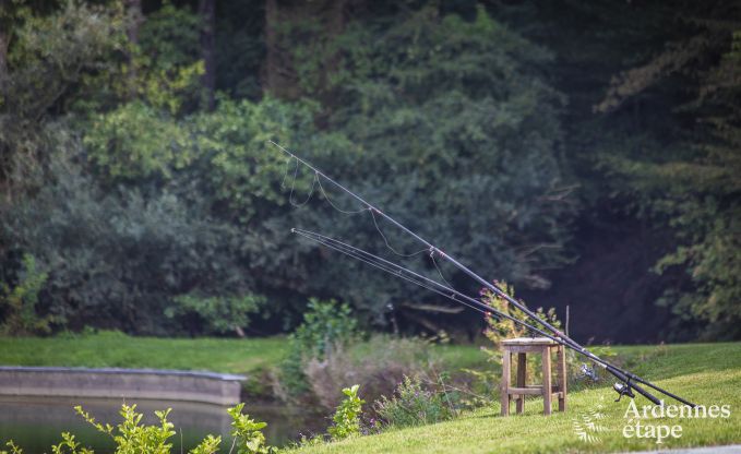 Holiday cottage in Somme-Leuze for 20 persons in the Ardennes