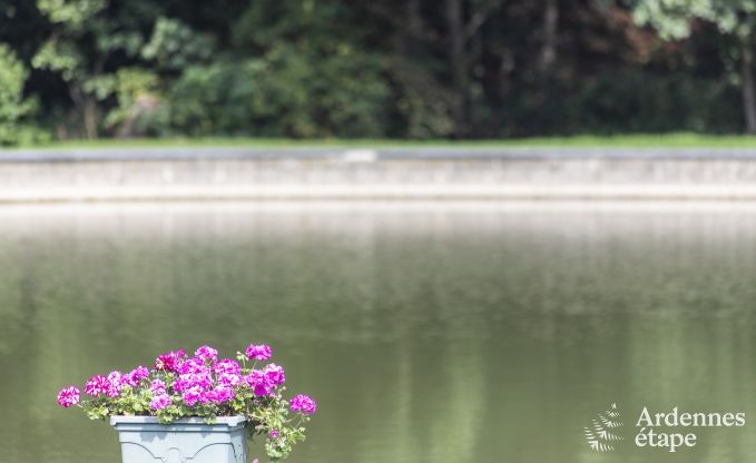 Holiday cottage in Somme-Leuze for 20 persons in the Ardennes