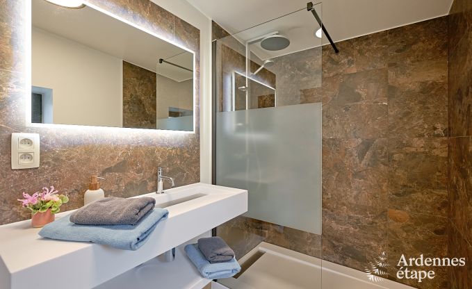 Ultramodern villa in Somme-Leuze for 12 persons with indoor swimming pool, sauna and private garden