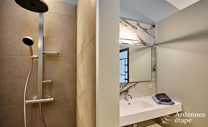 Ultramodern villa in Somme-Leuze for 12 persons with indoor swimming pool, sauna and private garden