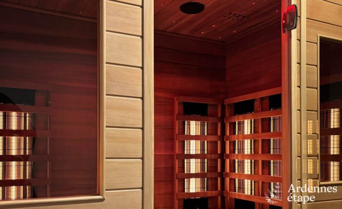 Ultramodern villa in Somme-Leuze for 12 persons with indoor swimming pool, sauna and private garden