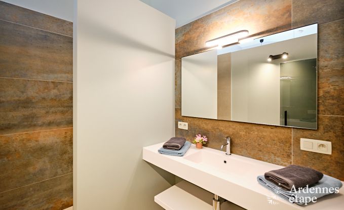 Ultramodern villa in Somme-Leuze for 12 persons with indoor swimming pool, sauna and private garden
