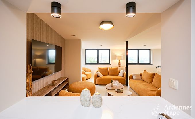 Ultramodern villa in Somme-Leuze for 12 persons with indoor swimming pool, sauna and private garden