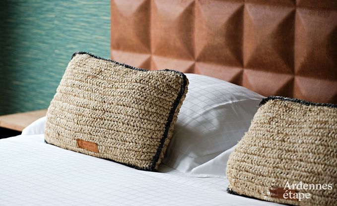 Ultramodern villa in Somme-Leuze for 12 persons with indoor swimming pool, sauna and private garden