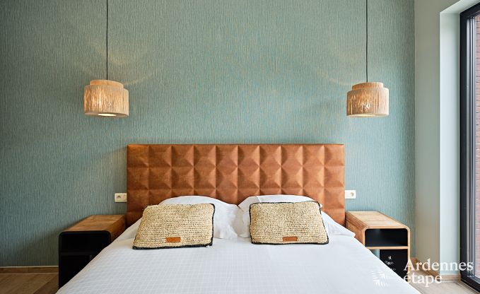 Ultramodern villa in Somme-Leuze for 12 persons with indoor swimming pool, sauna and private garden