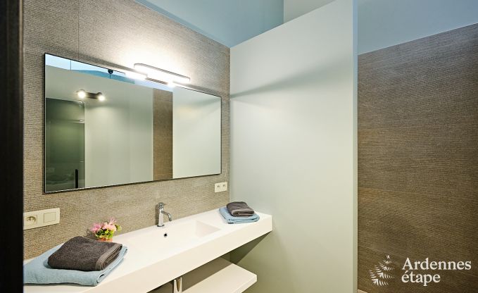 Ultramodern villa in Somme-Leuze for 12 persons with indoor swimming pool, sauna and private garden