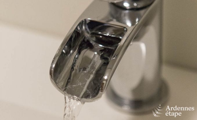 Chalet in Spa (Nivez�) for 9 persons in the Ardennes