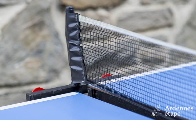 Chalet in Spa (Nivez�) for 9 persons in the Ardennes