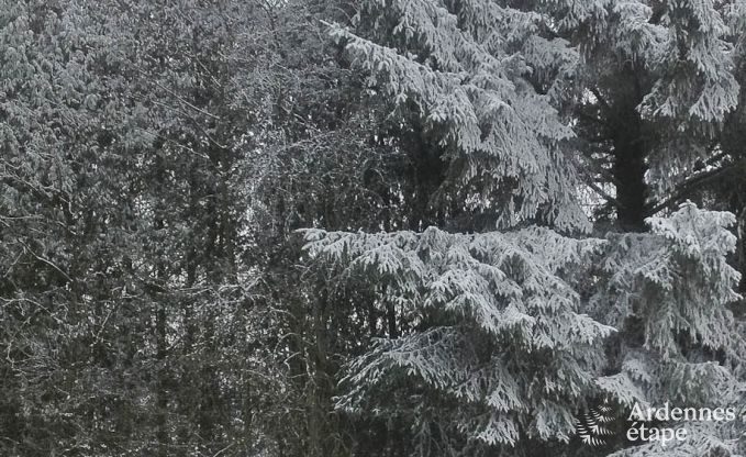 Chalet in Spa (Nivez�) for 9 persons in the Ardennes