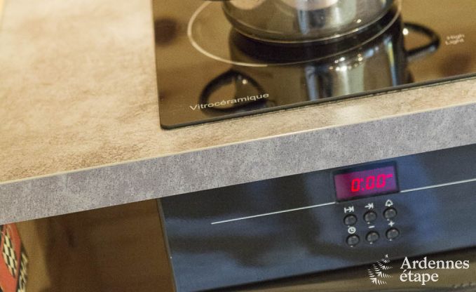 Chalet in Spa (Nivez�) for 9 persons in the Ardennes